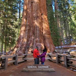 Meet your Posher, Gloria